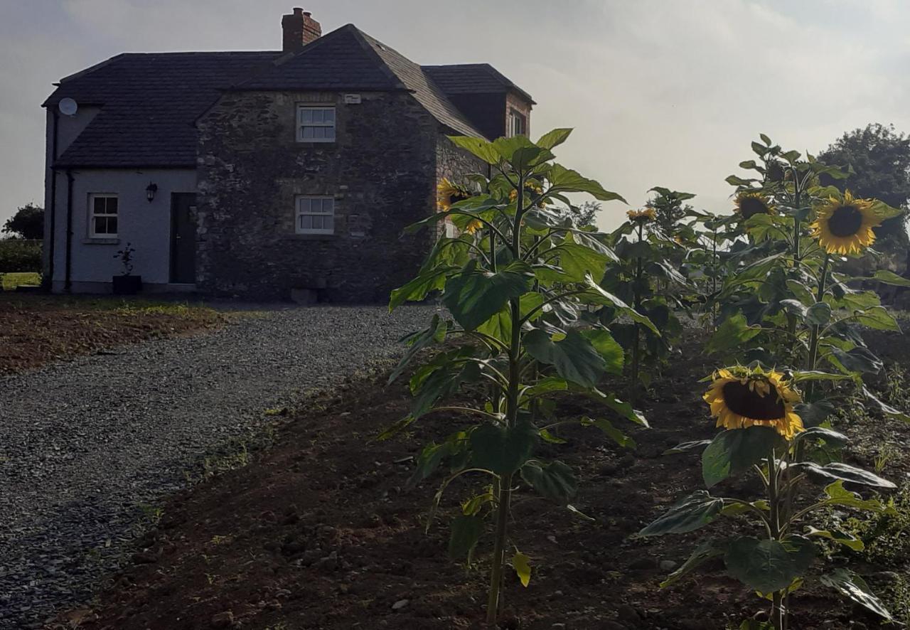 The Shepherd'S Lodge Tullyallen ภายนอก รูปภาพ